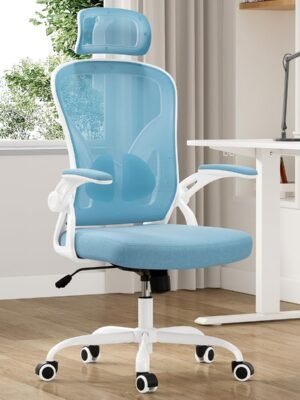 Ergonomic Office Chair, Home Office Desk Chair with Headrest, High Back Computer Chair with Flip-up Armrests and Adjustable Lumbar Support for Home Office Study Room (with Headrest, Blue)